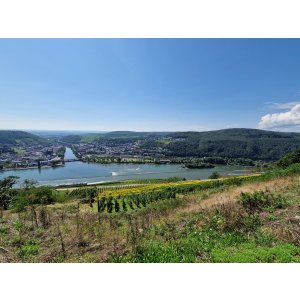 Rheinsteig 20.08.2023