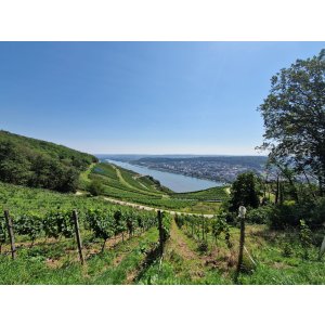 Rheinsteig 20.08.2023