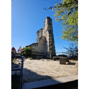 Vereinsausflug Koenigswinter